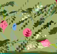 Oseanica Culinary Art - Stayed