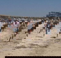 Perlubie Beach Sports Day - Stayed