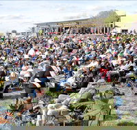 Riverfest Food Wine and Music Festival - Stays Accommodation