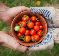 Riverina Producers Market - Stayed