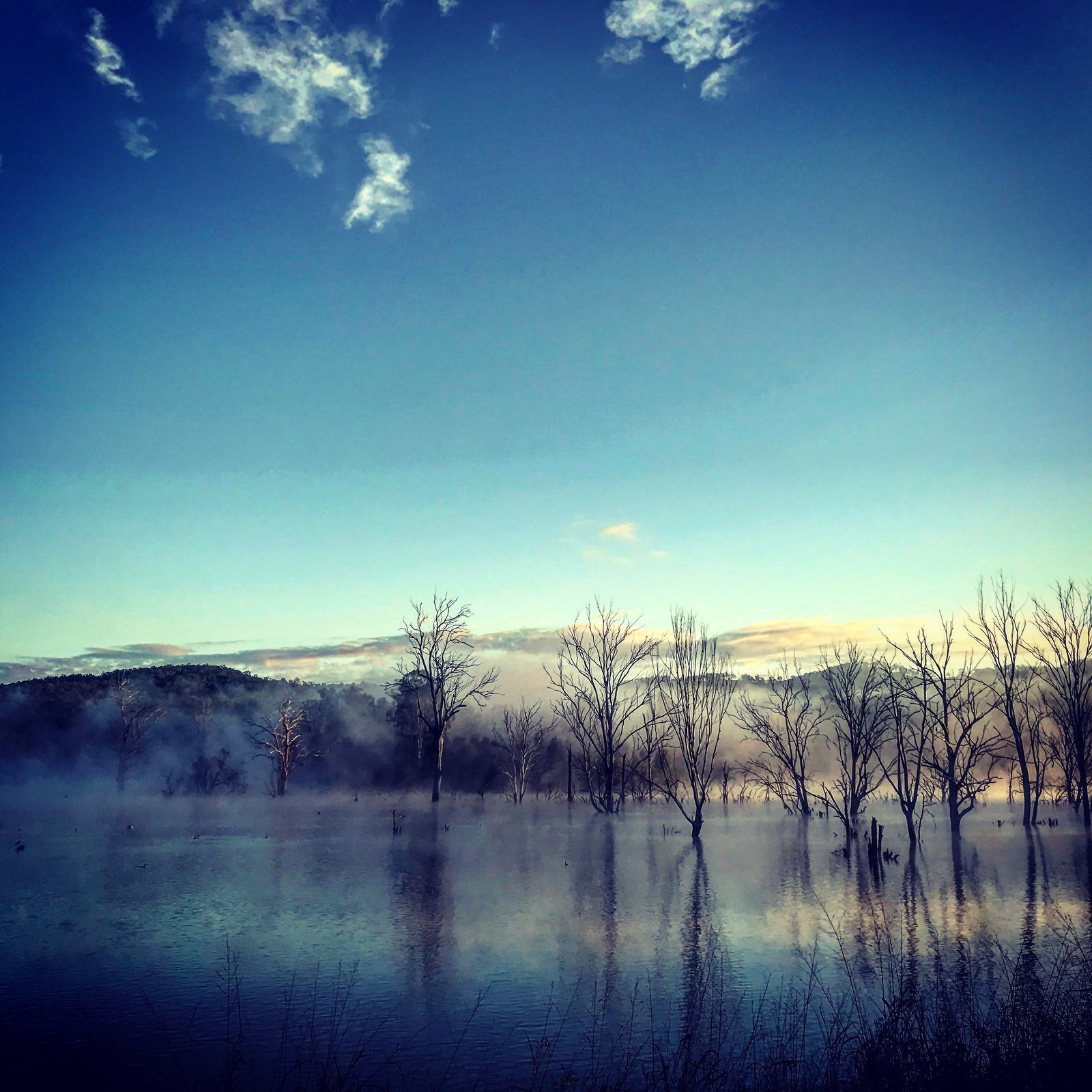 Carneys Creek QLD Stays Accommodation