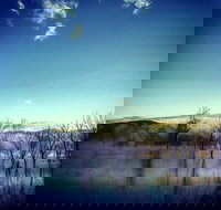 Scenic Rim Ultra - Stays Accommodation