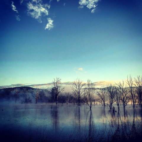 Scenic Rim Ultra - Stayed 0