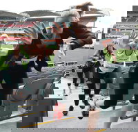 Stadium Stomp Adelaide Oval - Postponed - Stayed