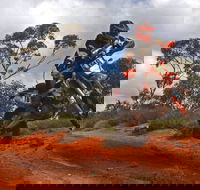 Sunraysia Safari Rally - Stayed