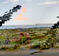 SunSmart Busselton Festival of Triathlon - Stayed