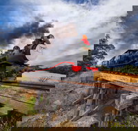 The Bellarine Railway Santa Train Specials - Stayed