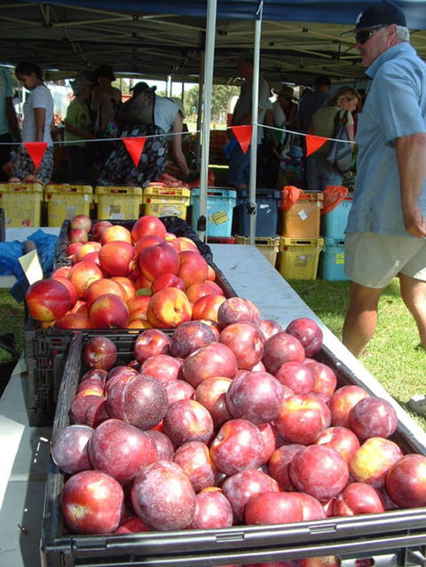 The Farmers Market On Manning - Stays Accommodation 0