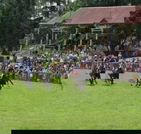 Tumut Boxing Day Races - Stays Accommodation