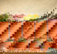 Tumbarumba Spring Flower Festival - Stays Accommodation