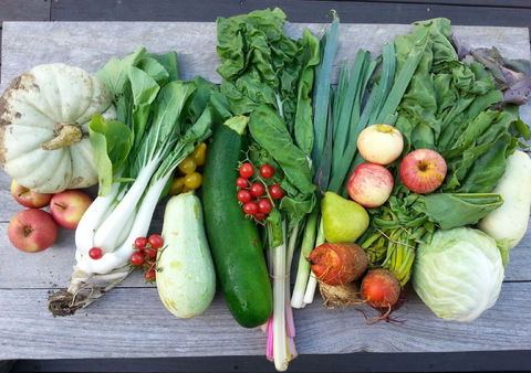 Wingham Farmers Market - Stayed 0