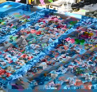 Wyee Markets - Stayed