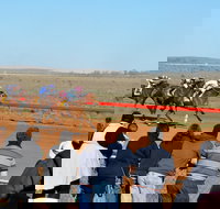 2020 Quorn Cup - Stays Accommodation