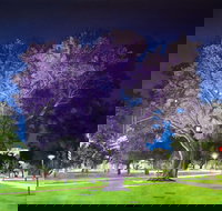 Adelaide Parklands Art Prize  Finalists Exhibition  Sale 2020 - Stayed