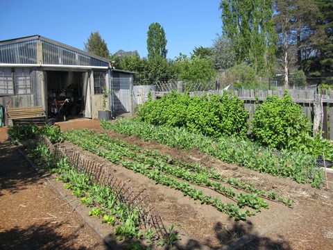 All Season Cold Climate Organic Vegetable Growing - Stayed 1