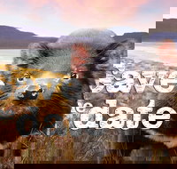 Art Group Longford - Stays Accommodation