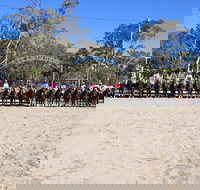 Australian Campdraft Association National Finals Campdraft 2021 - Stayed