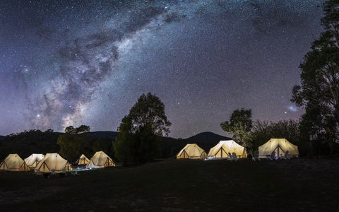 A Wild Night Out - Spring - Stayed 6