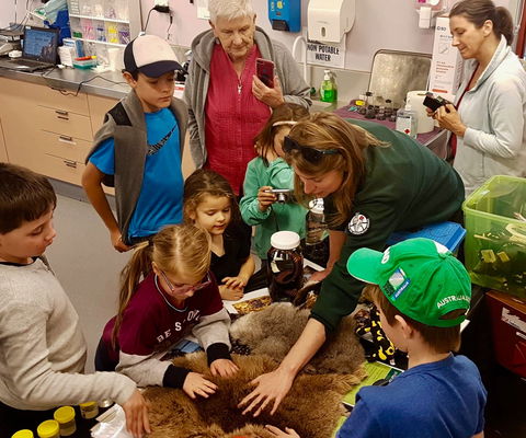 A Wild Night Out - Spring - Stayed 7