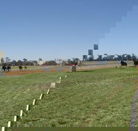 Balranald Races -Derby Day - Stayed