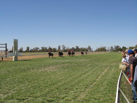 Balranald Races -Derby Day - Stays Accommodation 0