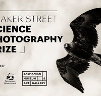 Beaker Street Science Photography Prize - Stayed
