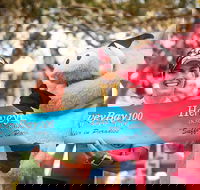 Beach House Hotel Hervey Bay 100 - Stayed