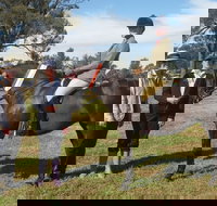 Birbbaree Show - Stays Accommodation