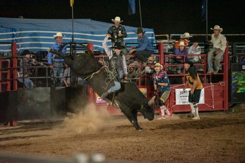 Black Opal Bull And Bronc Ride - Stayed 0