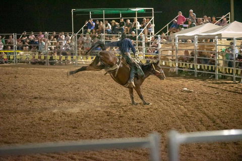 Black Opal Bull And Bronc Ride - Stayed 2