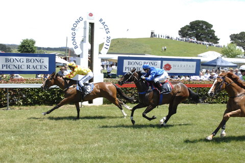 Bong Bong Picnic Races - Stayed 0