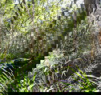 Bottlebutt Bash Trail Run - Stayed