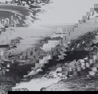 British Migrants Instant Australians - Stayed