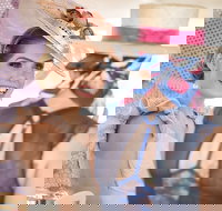 Cairns Amateurs - Stayed