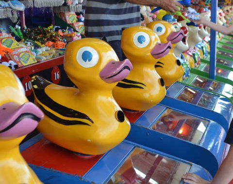 Casino Agricultural Show - Stayed 0