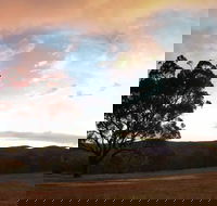 Christmas in July Jumpers and Jazz - Stayed