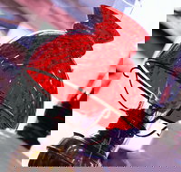 Collectable Sundays - Bus Depot Markets - Stays Accommodation