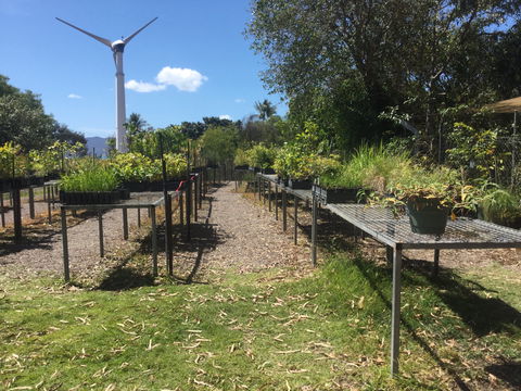 Conservation Volunteers Australia Townsville - Ocean View Nursery - Stays Accommodation 0