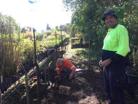 Conservation Volunteers Australia Townsville - Ocean View Nursery - Stays Accommodation 1