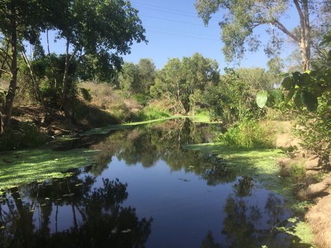 Conservation Volunteers Australia Townsville - Creekwatch - Stays Accommodation 0
