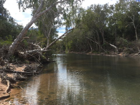 Conservation Volunteers Australia Townsville - Creekwatch - Stays Accommodation 2