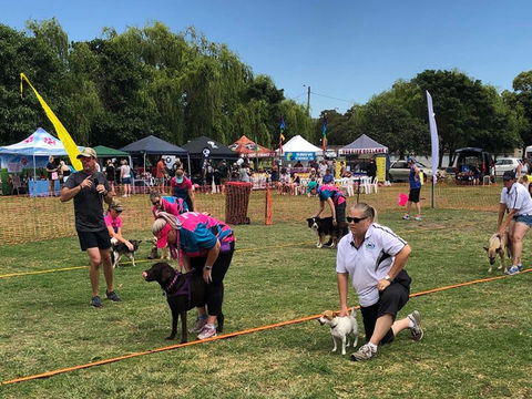 Dogs In The Park Shell Harbour - Stayed 1