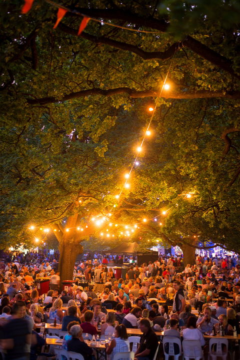 Festivale - Stayed 0