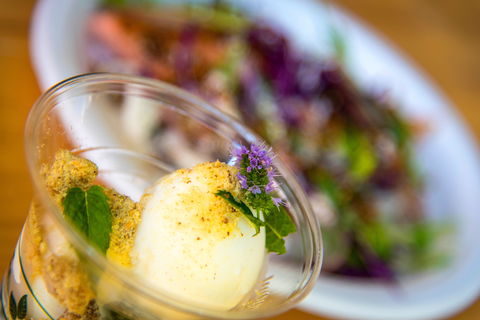 Festivale - Stayed 2