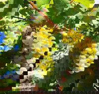 GetawaysSA Bringing Barossa To Your Door - Stayed