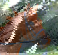 Glen William Gymkhana - Stayed