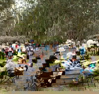 Grazing Down the Lachlan - Stayed