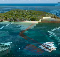 Great Adventures Green Island Ocean Swim - Stayed