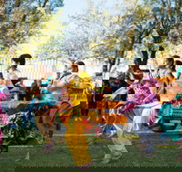 Griffith Spring Fest -  Multicultural Festival - Stayed