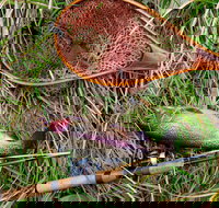 Guyra TroutFest - Stays Accommodation